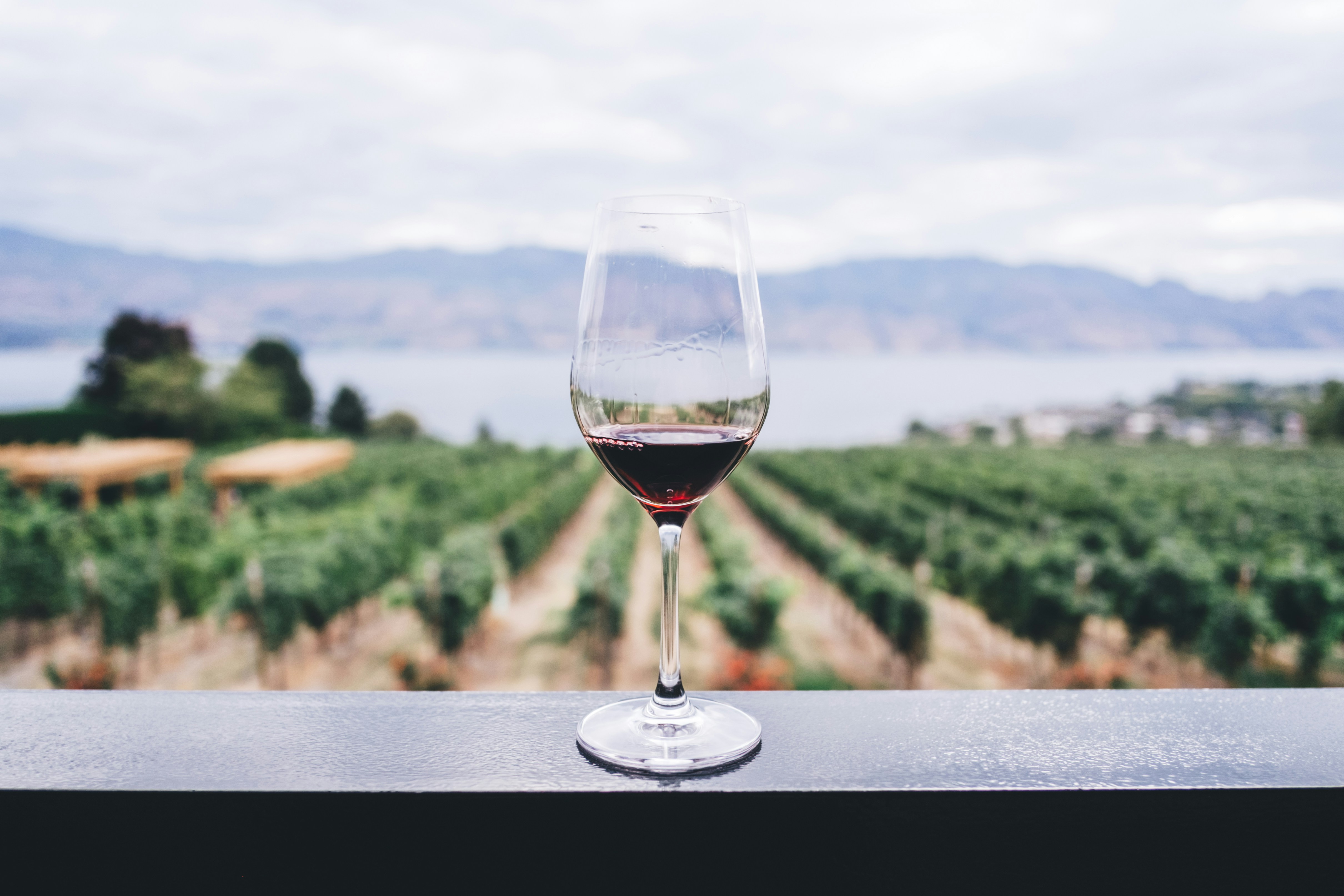 Cape Winelands wine tasting