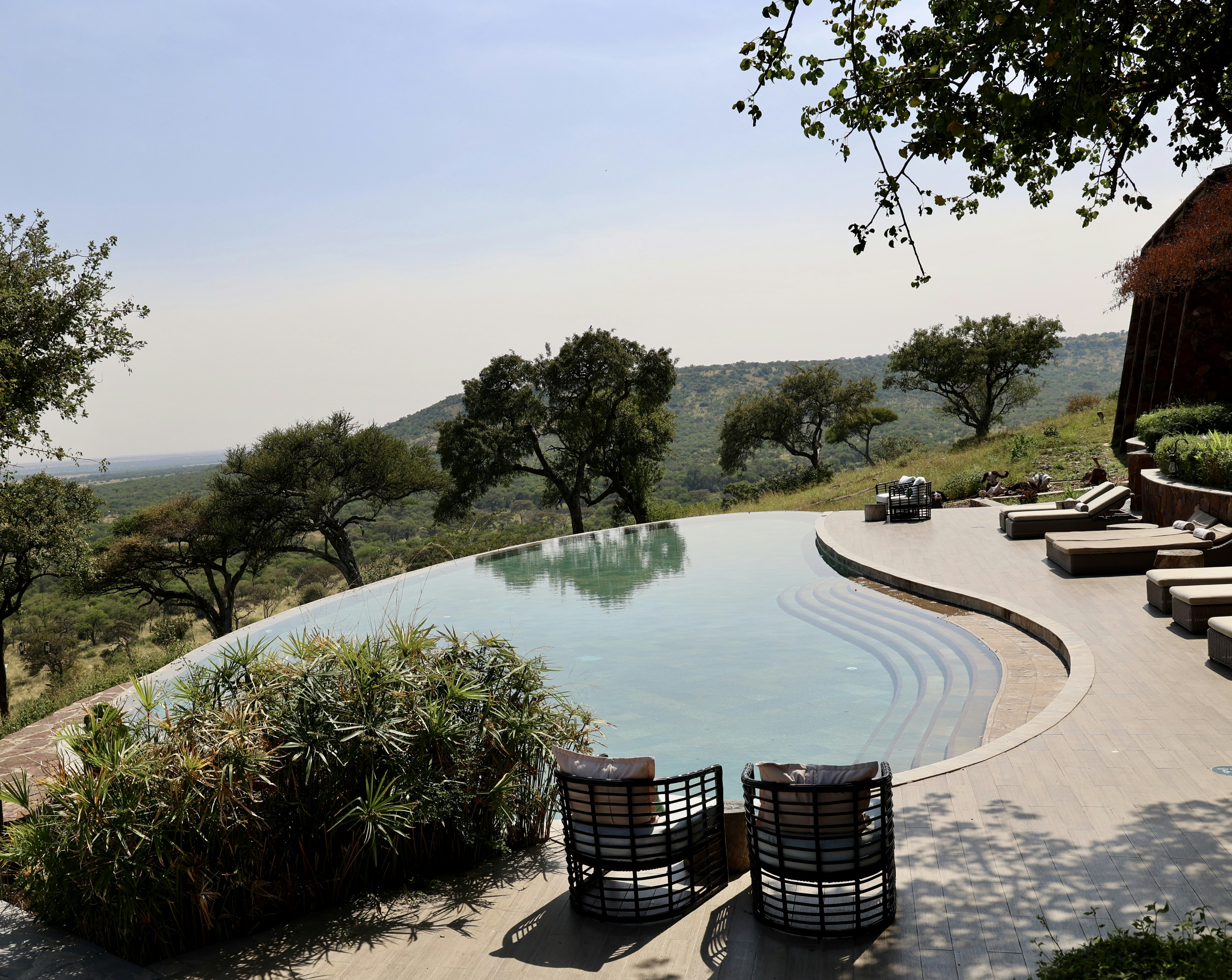 Leadwood Ridge Lodge, Sabi Sand Game Reserve